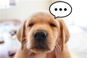 å€å£å¡è£
æé è²»çš çžå Ž30